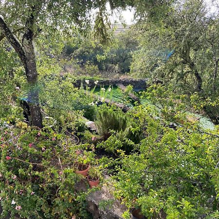 Casas Rurales Tio Antonio Las Rosas  ภายนอก รูปภาพ
