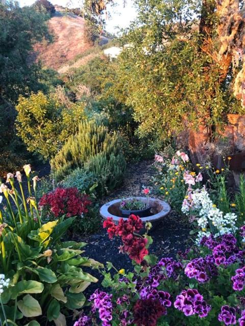 Casas Rurales Tio Antonio Las Rosas  ภายนอก รูปภาพ